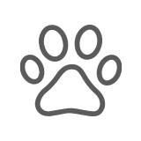 Animals Clipart