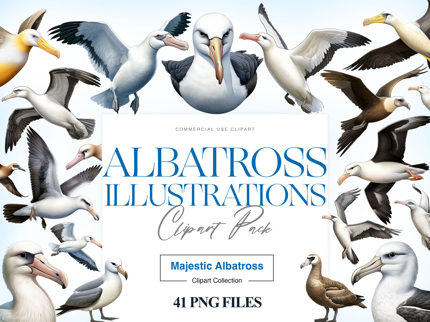 Albatross Clipart
