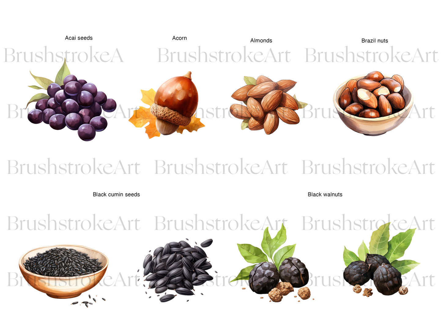 Almond Clipart