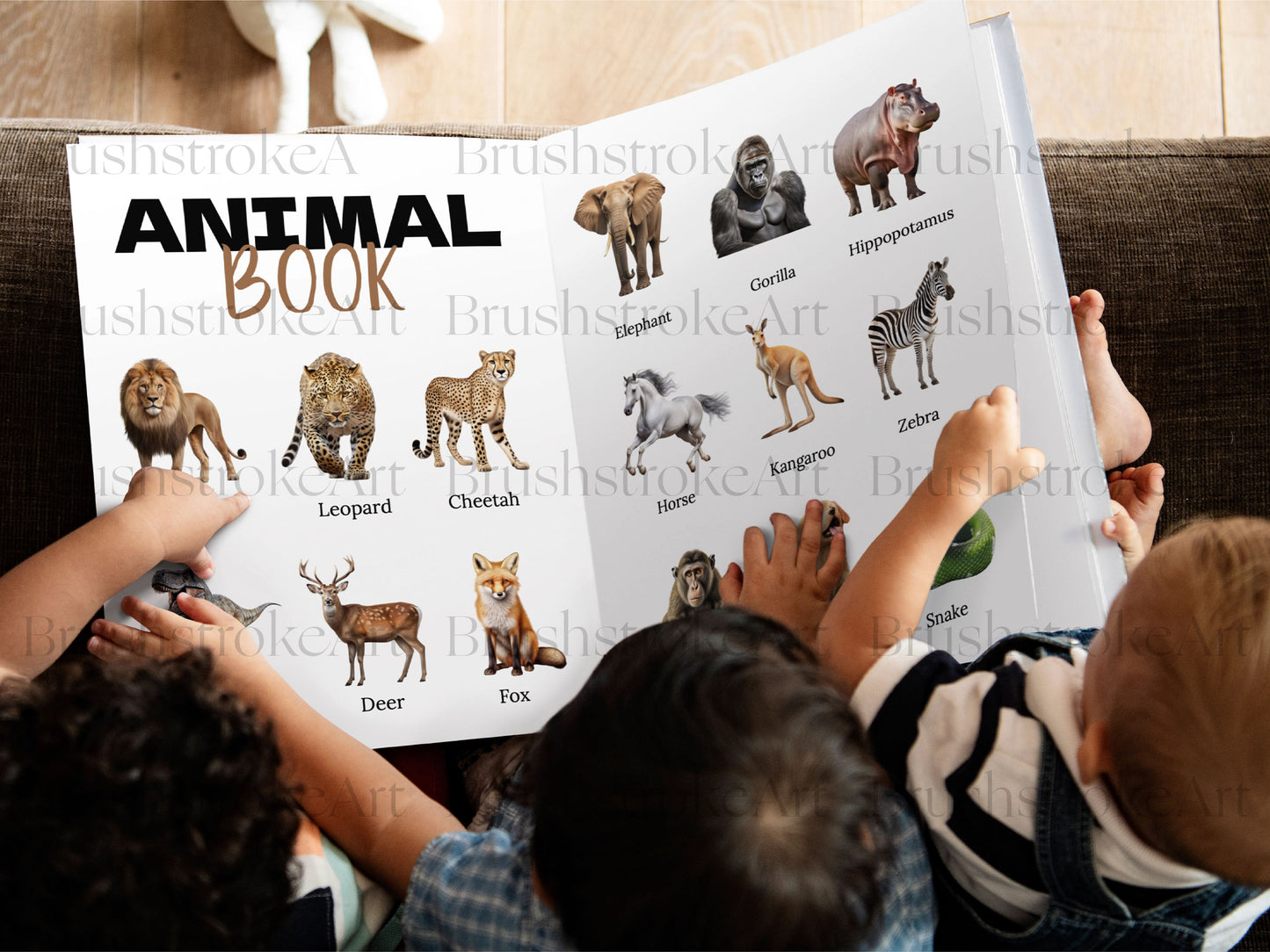 Animal Alphabet