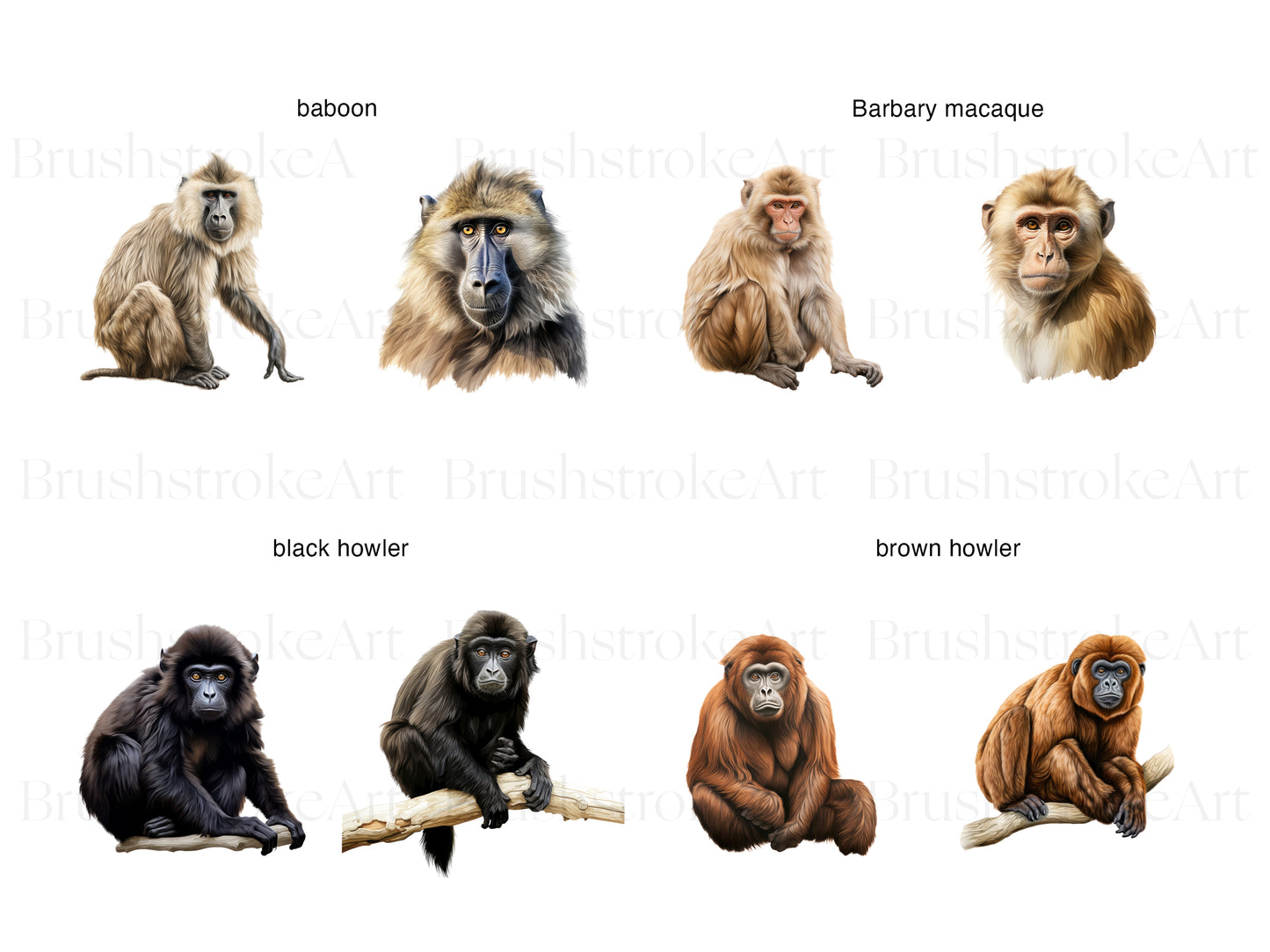 Ape Clipart