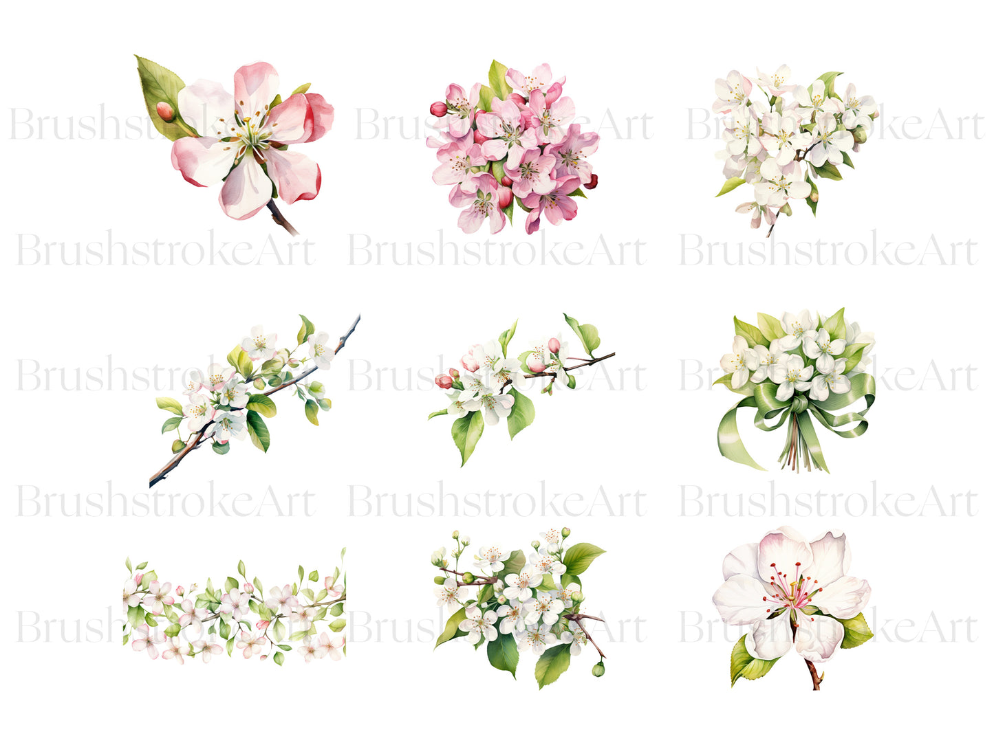 Apple Blossom Flower