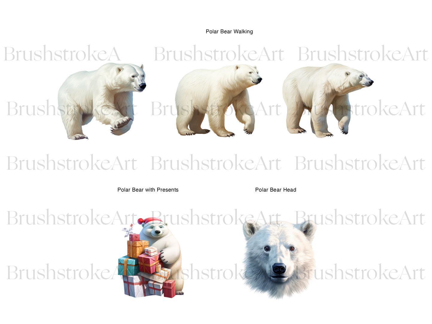 Arctic Bear