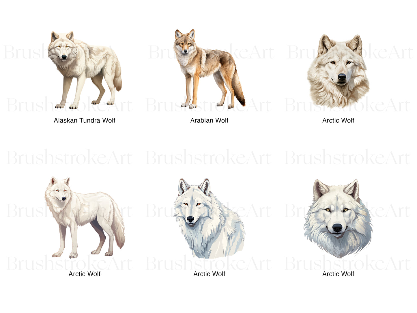Arctic Wolf