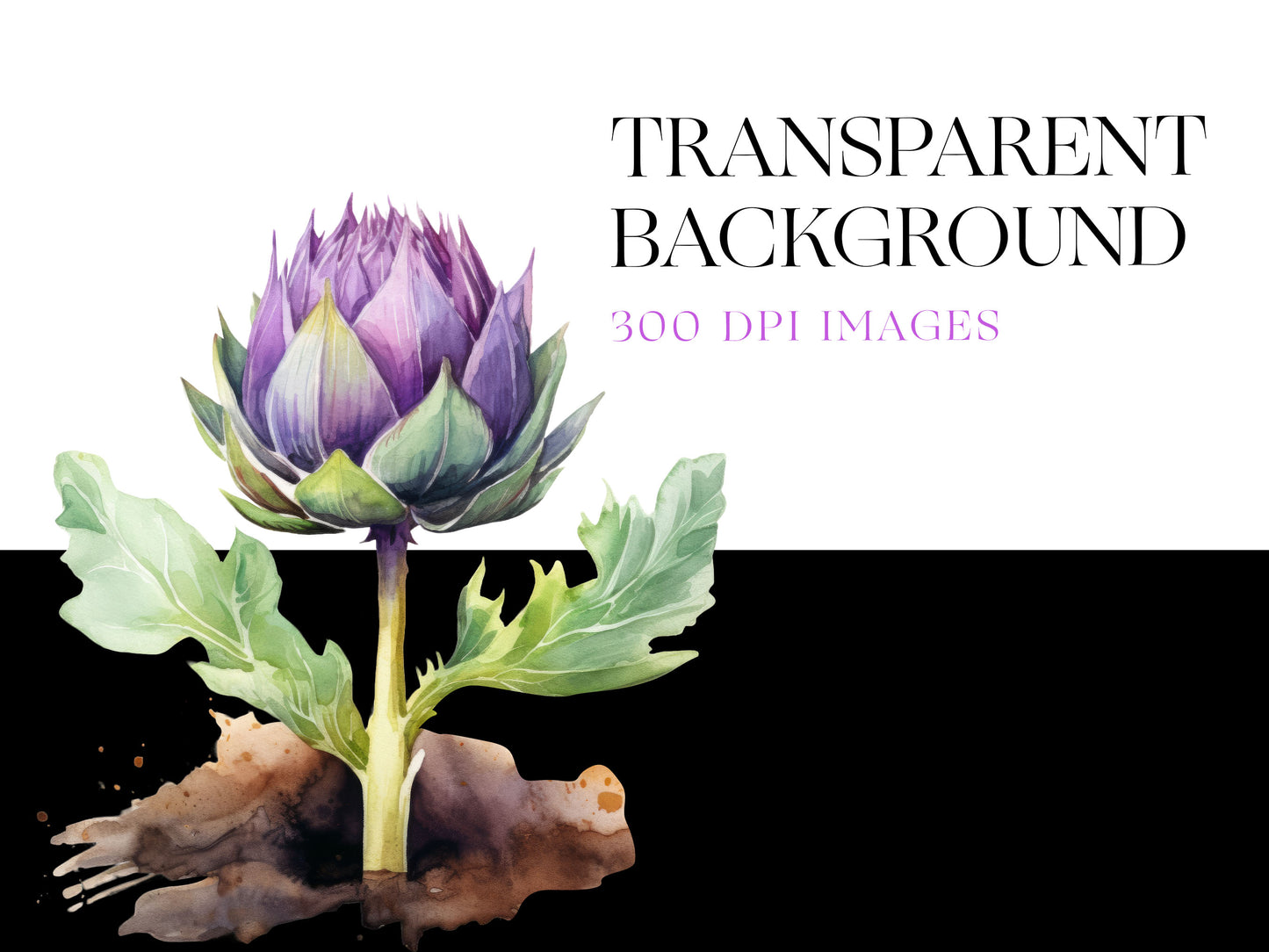Artichoke PNG