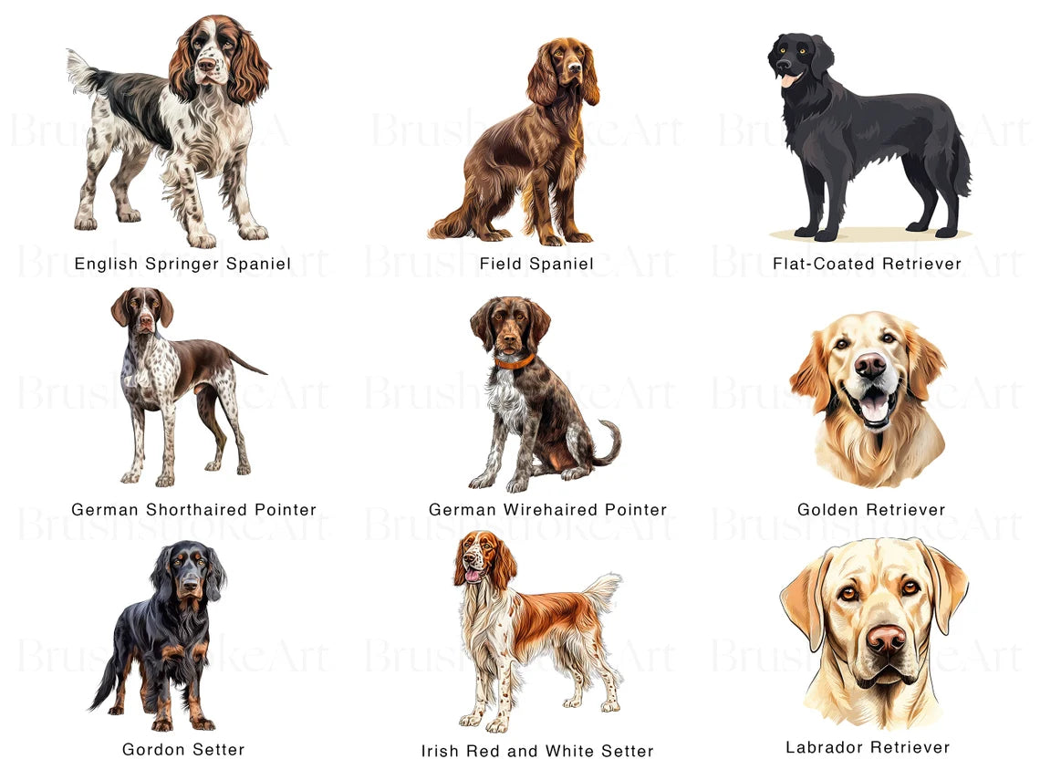 Artistic Dogs