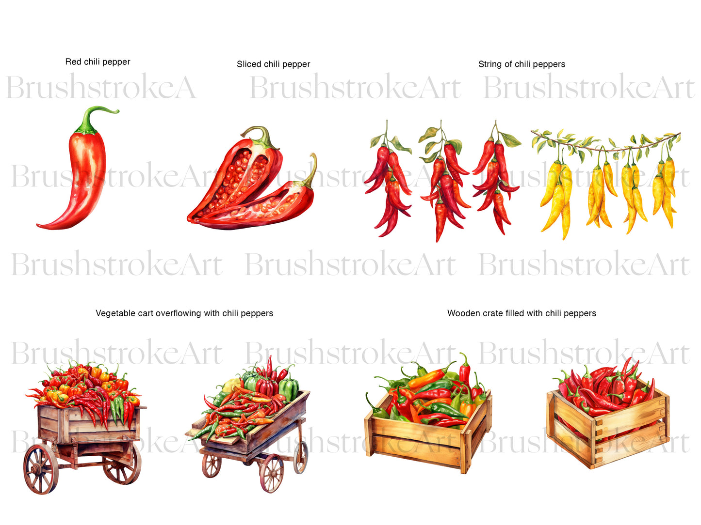Asian Spices