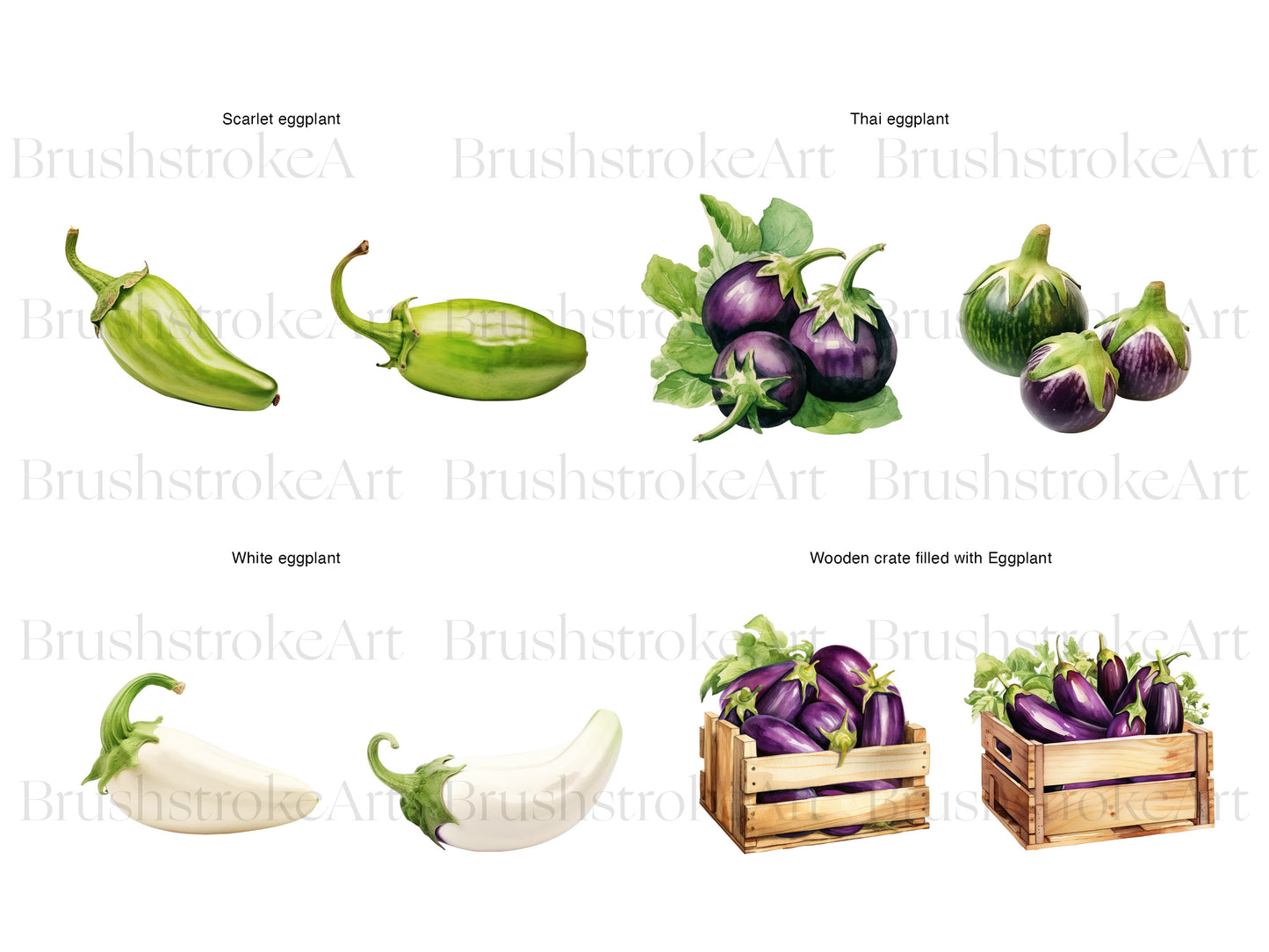 Aubergine