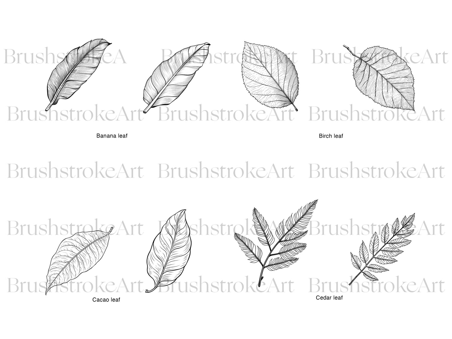 Autumn Leaves
