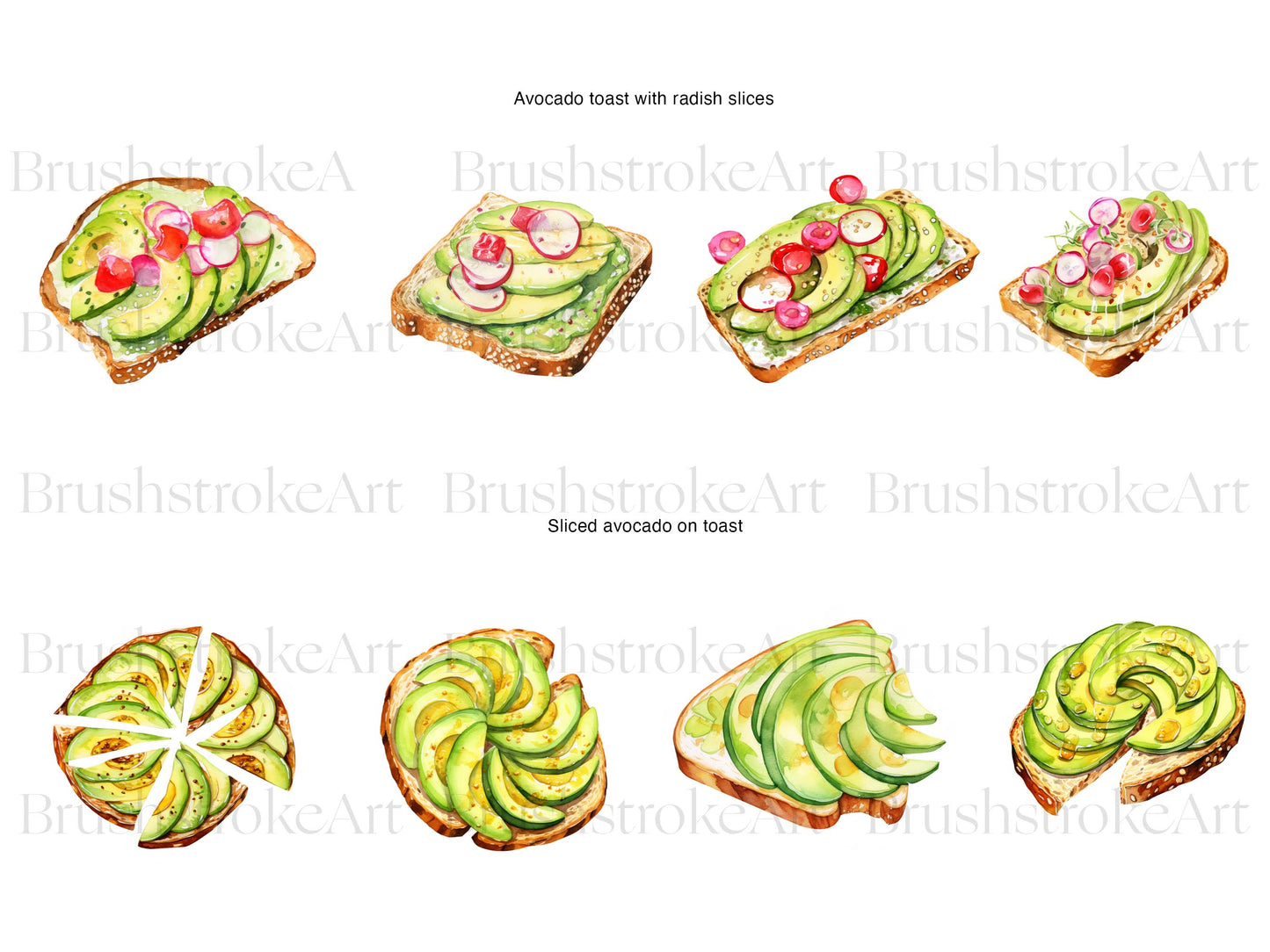 Avocado Clipart