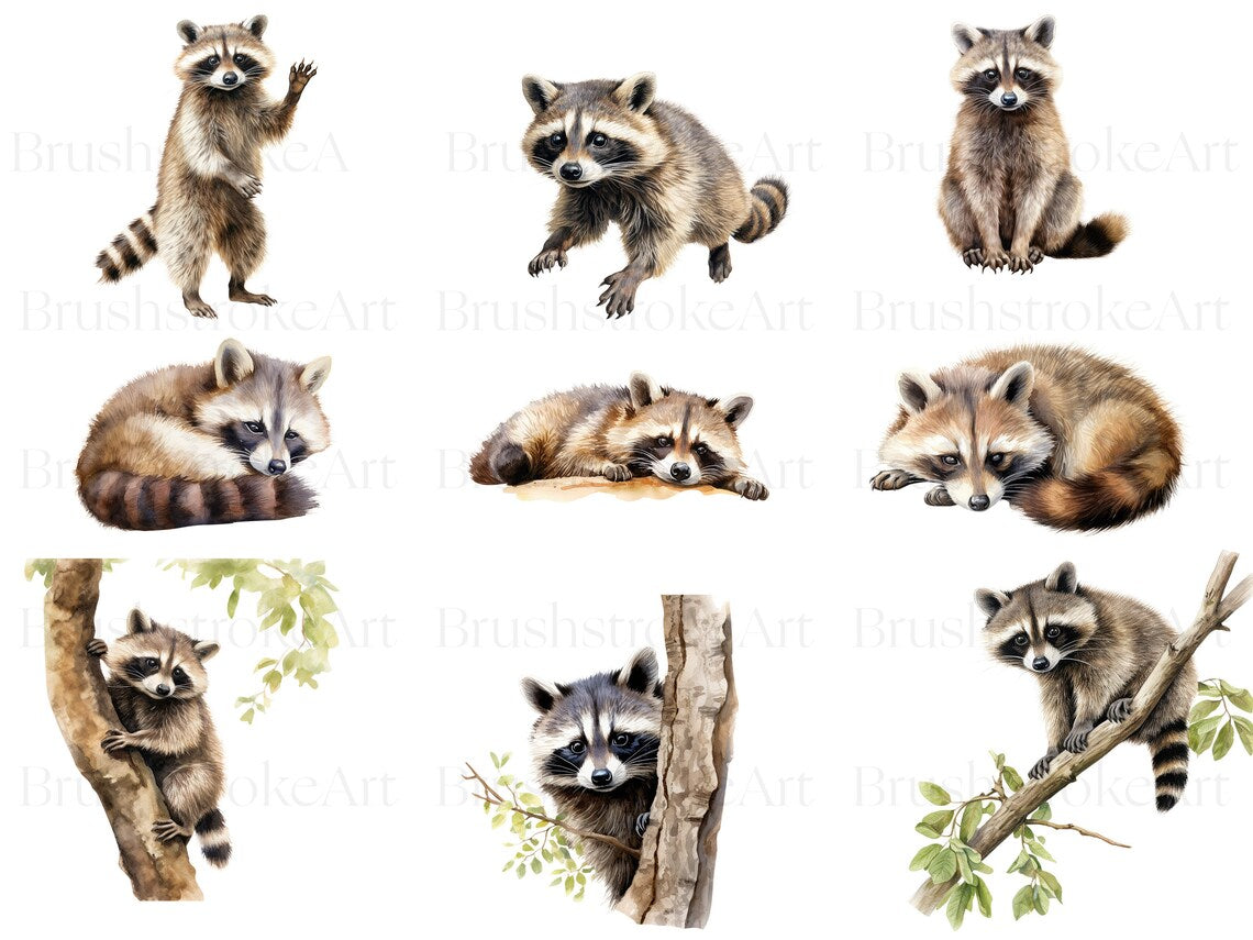 Baby Animal