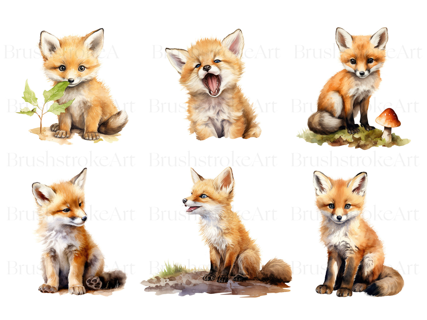 Baby Fox
