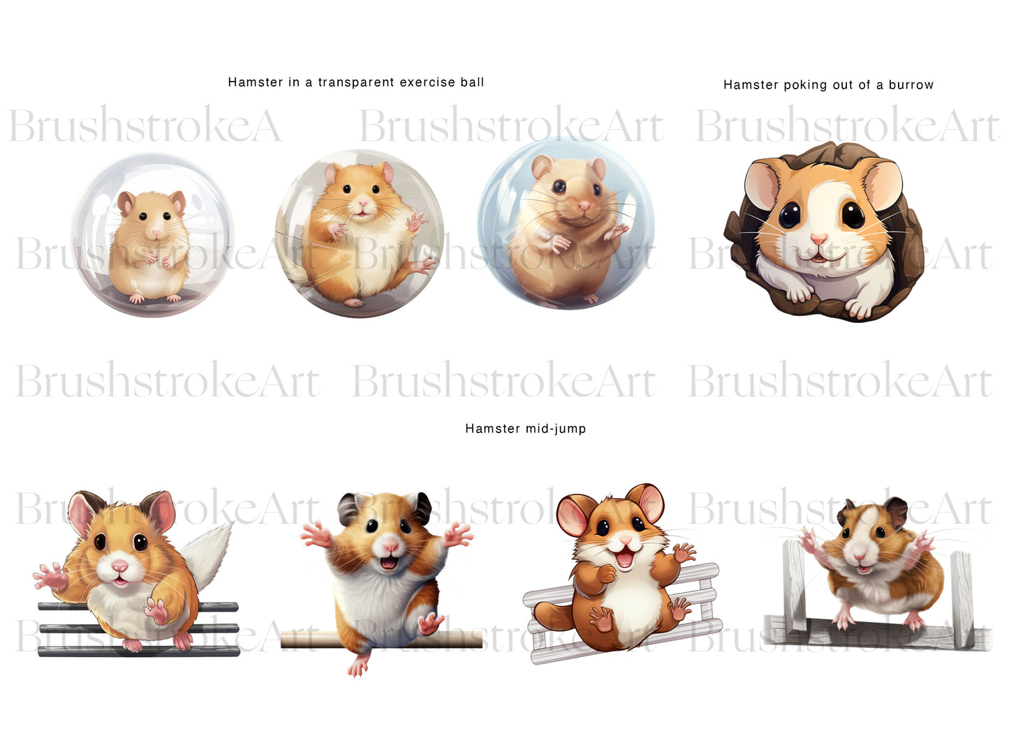Baby Hamster