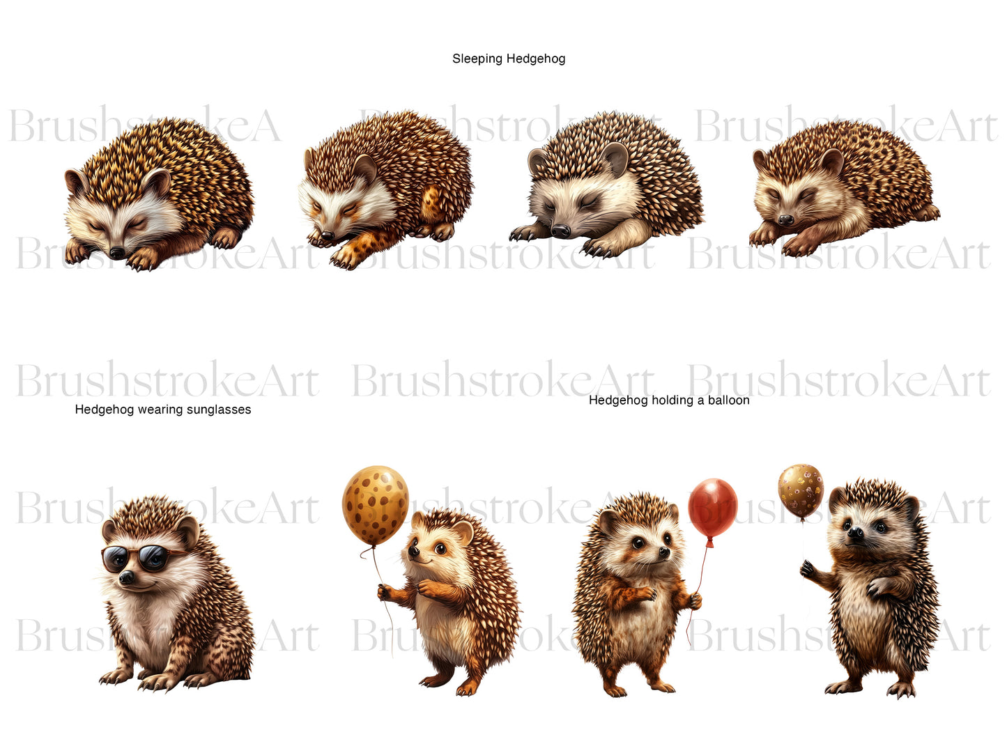 Baby Hedgehog