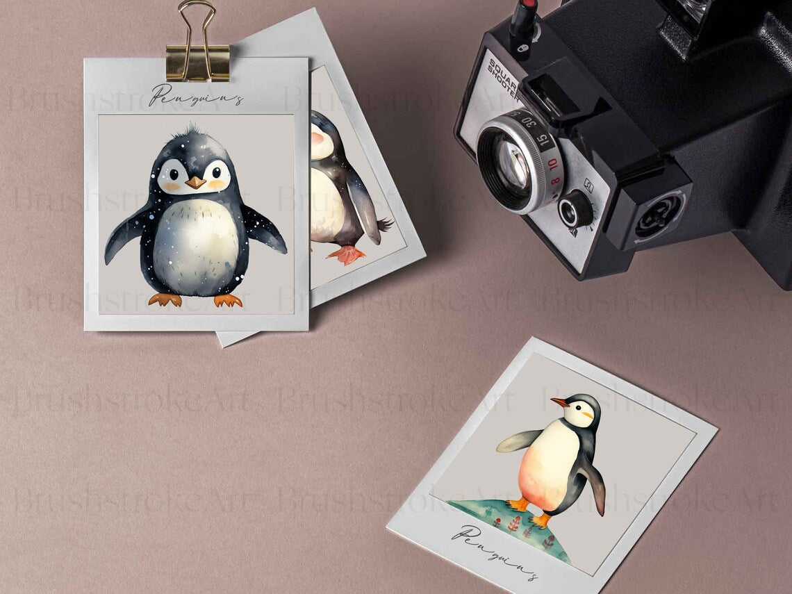 Baby Penguin