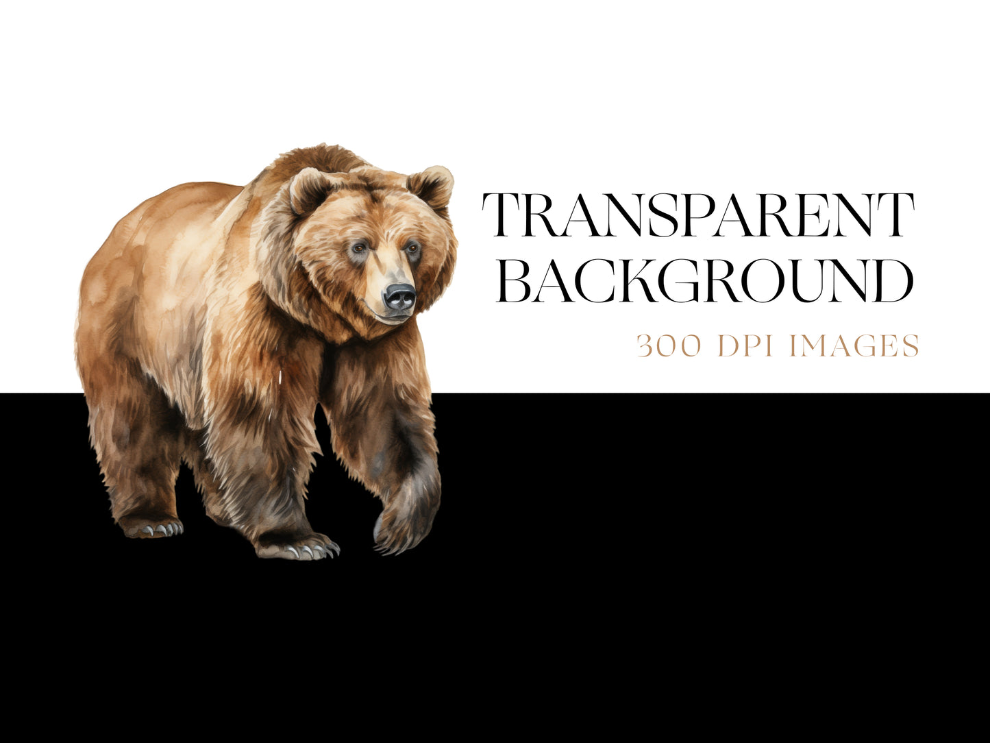 Bear PNG