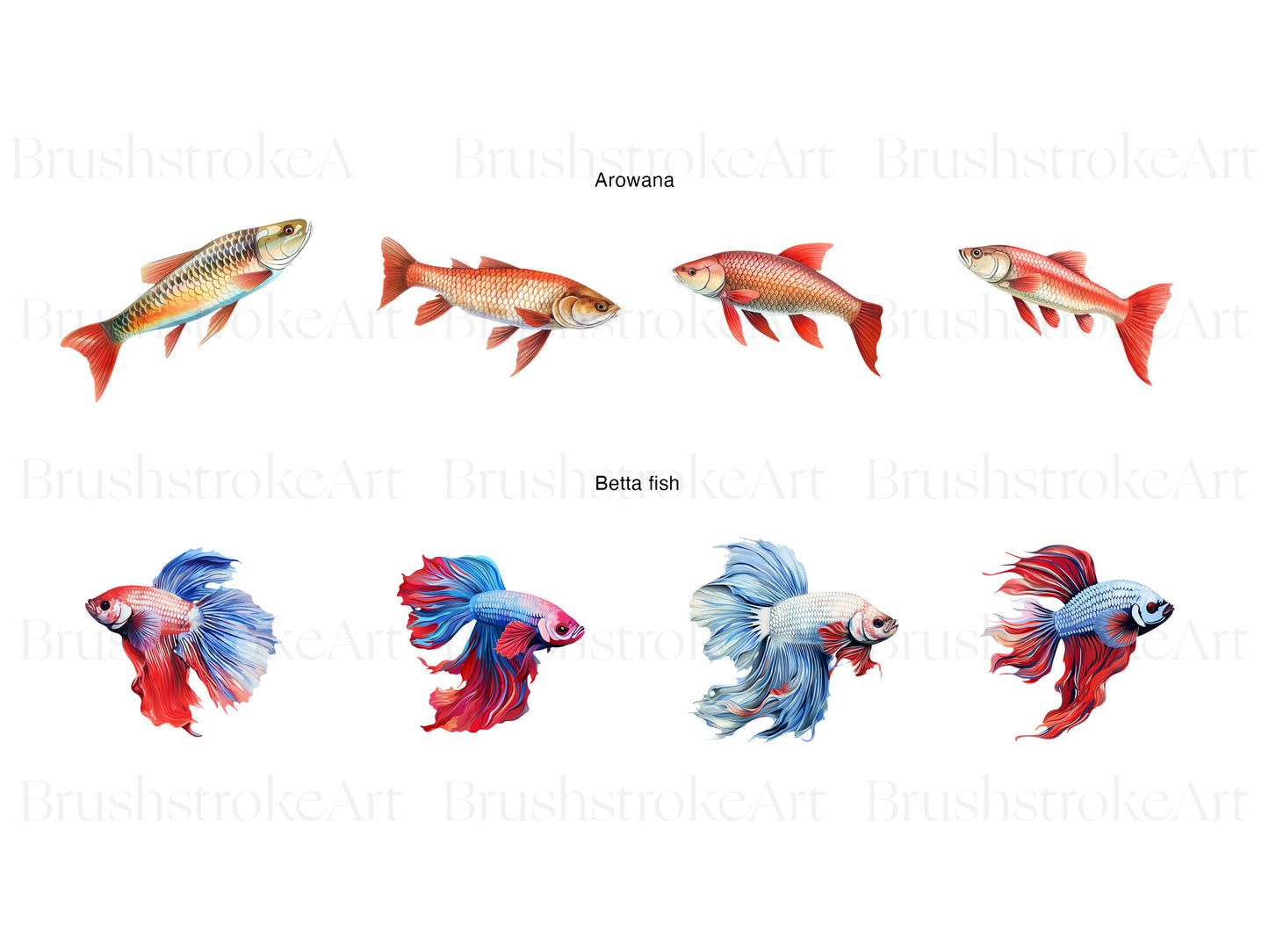 Tropical Fish Clipart, Guppies, Betta Fish, Pet Fish PNG
