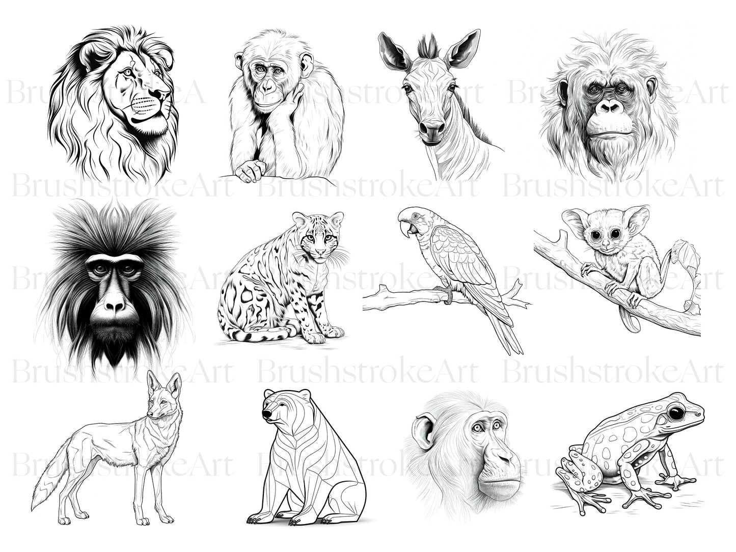 Bird Clipart