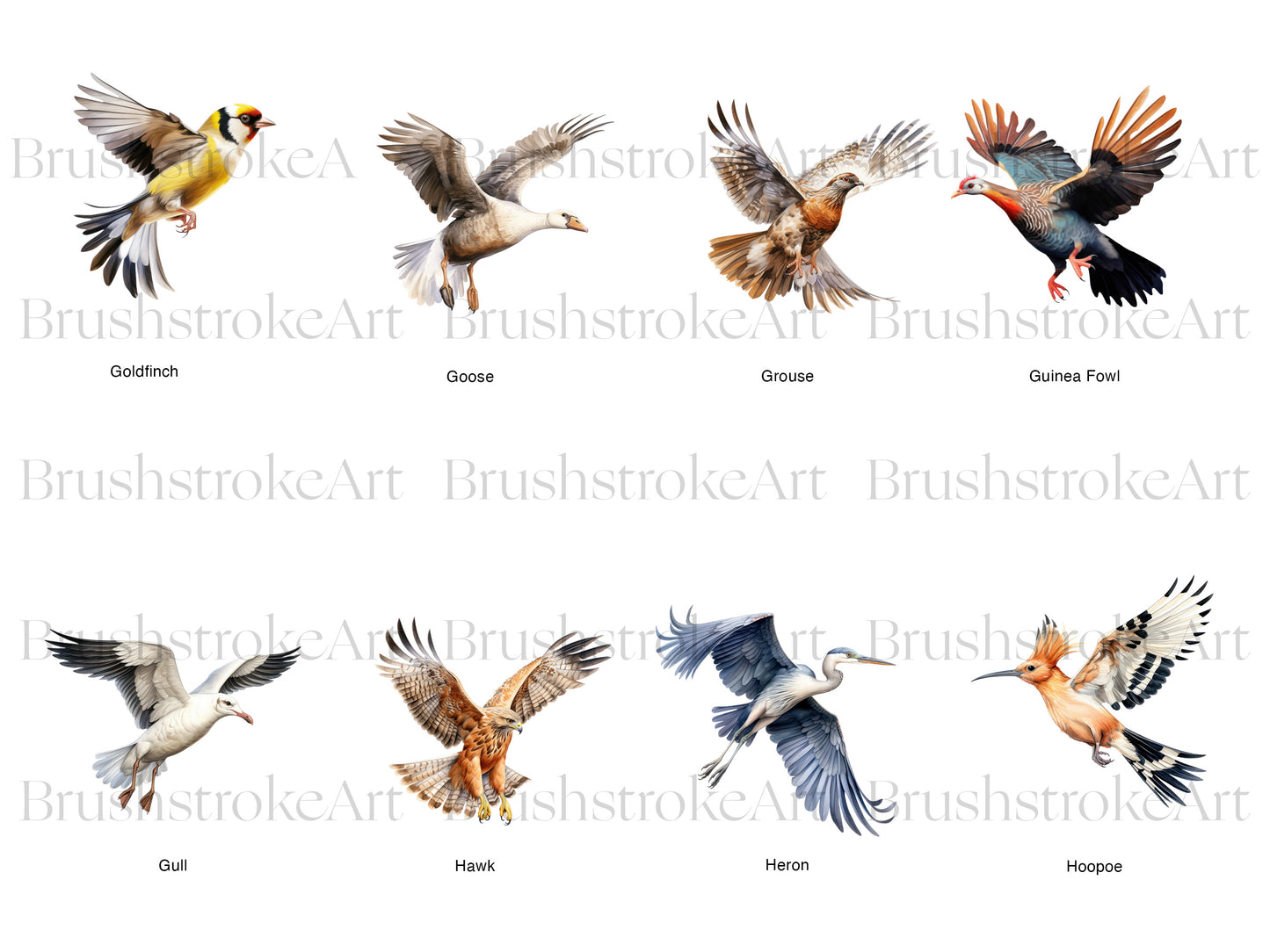 Bird Flying