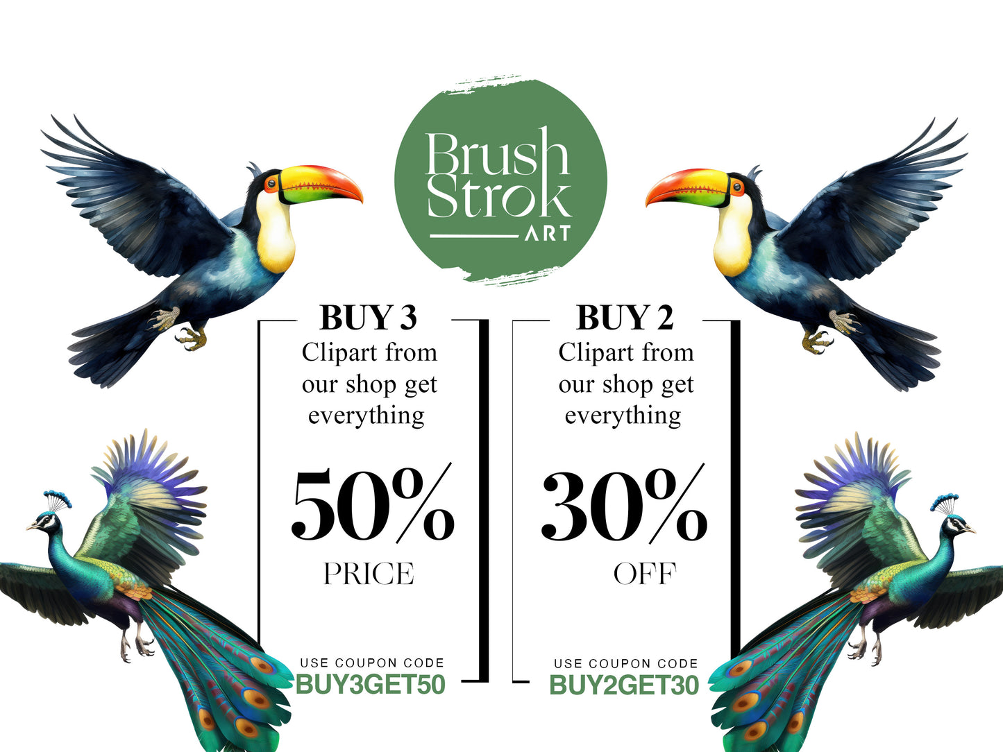 Bird Images