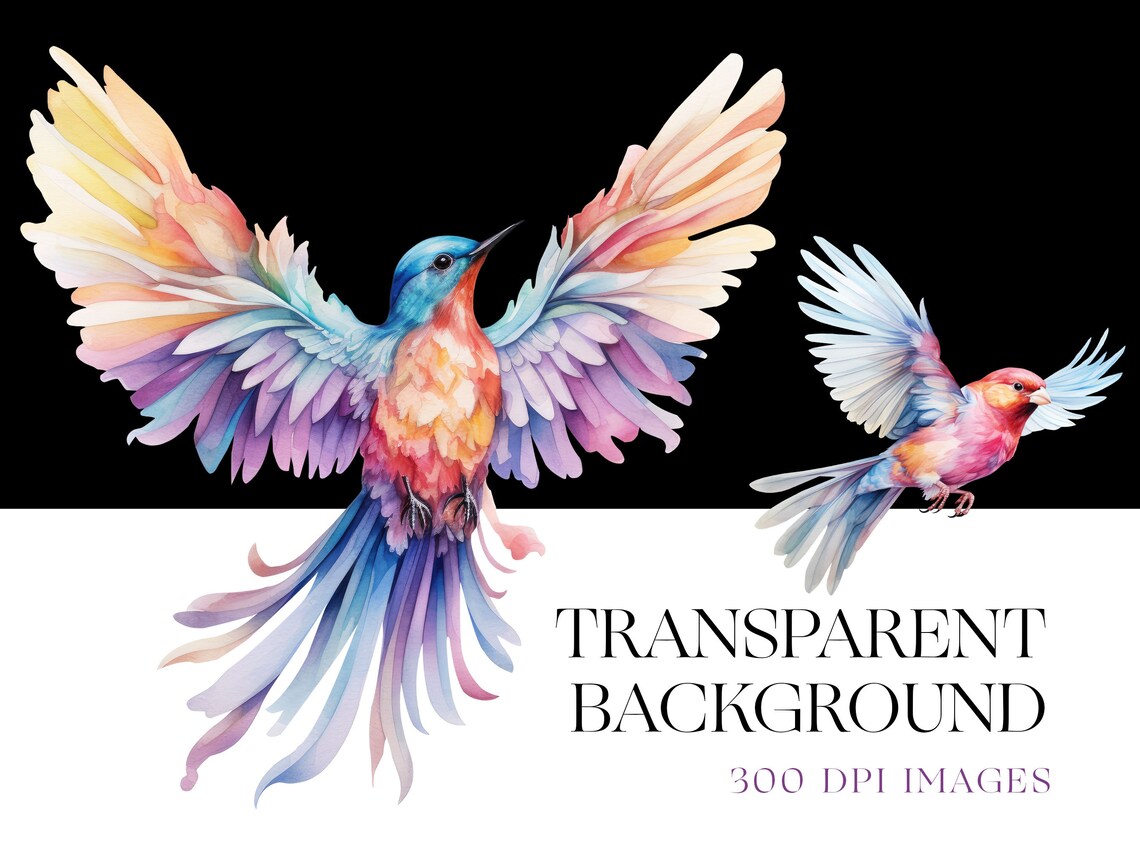 Bird PNG