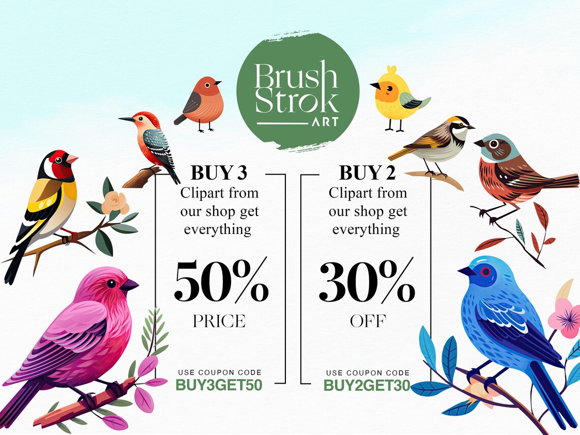 Birdi llustrations