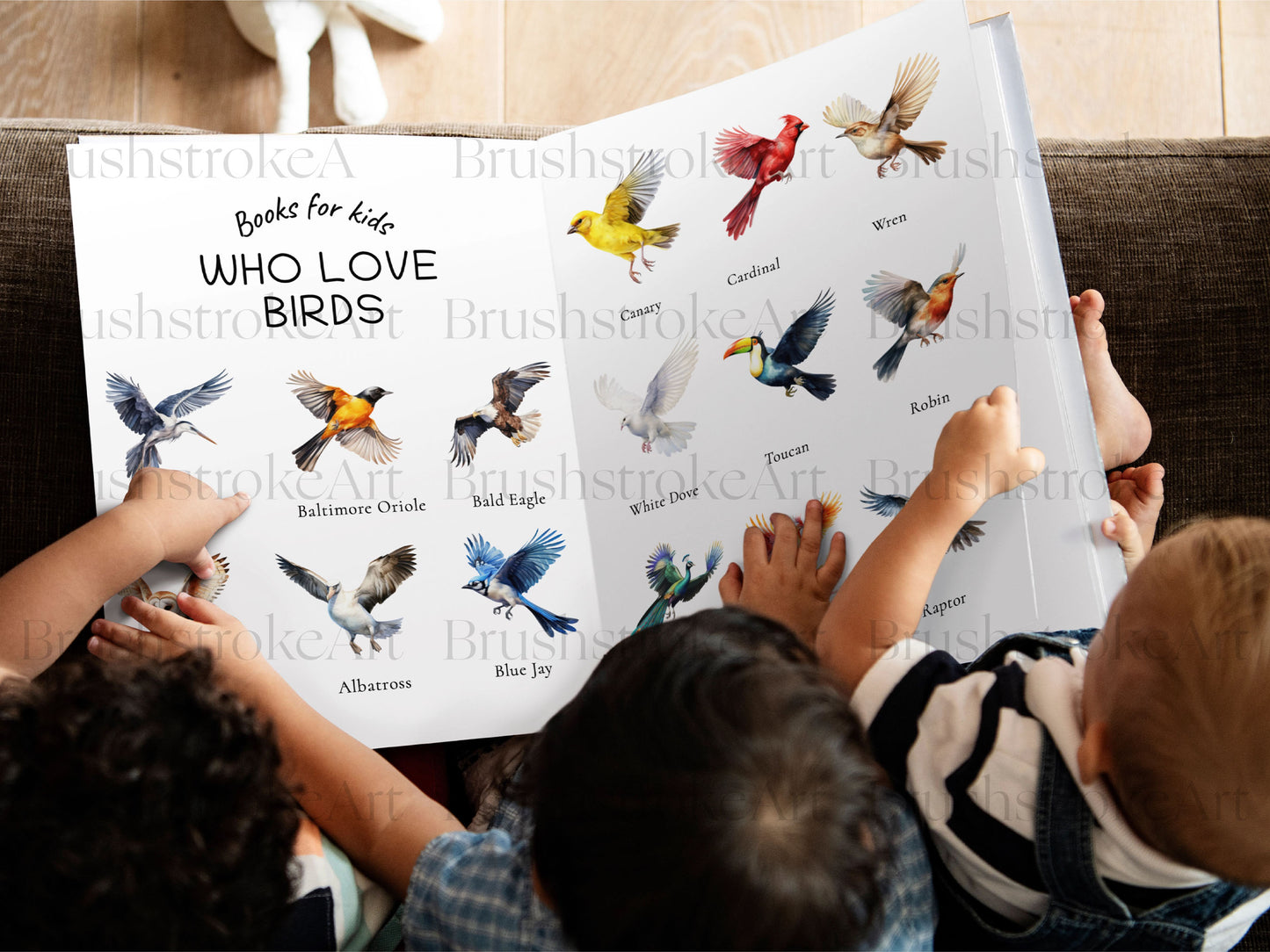 Birds Graphics