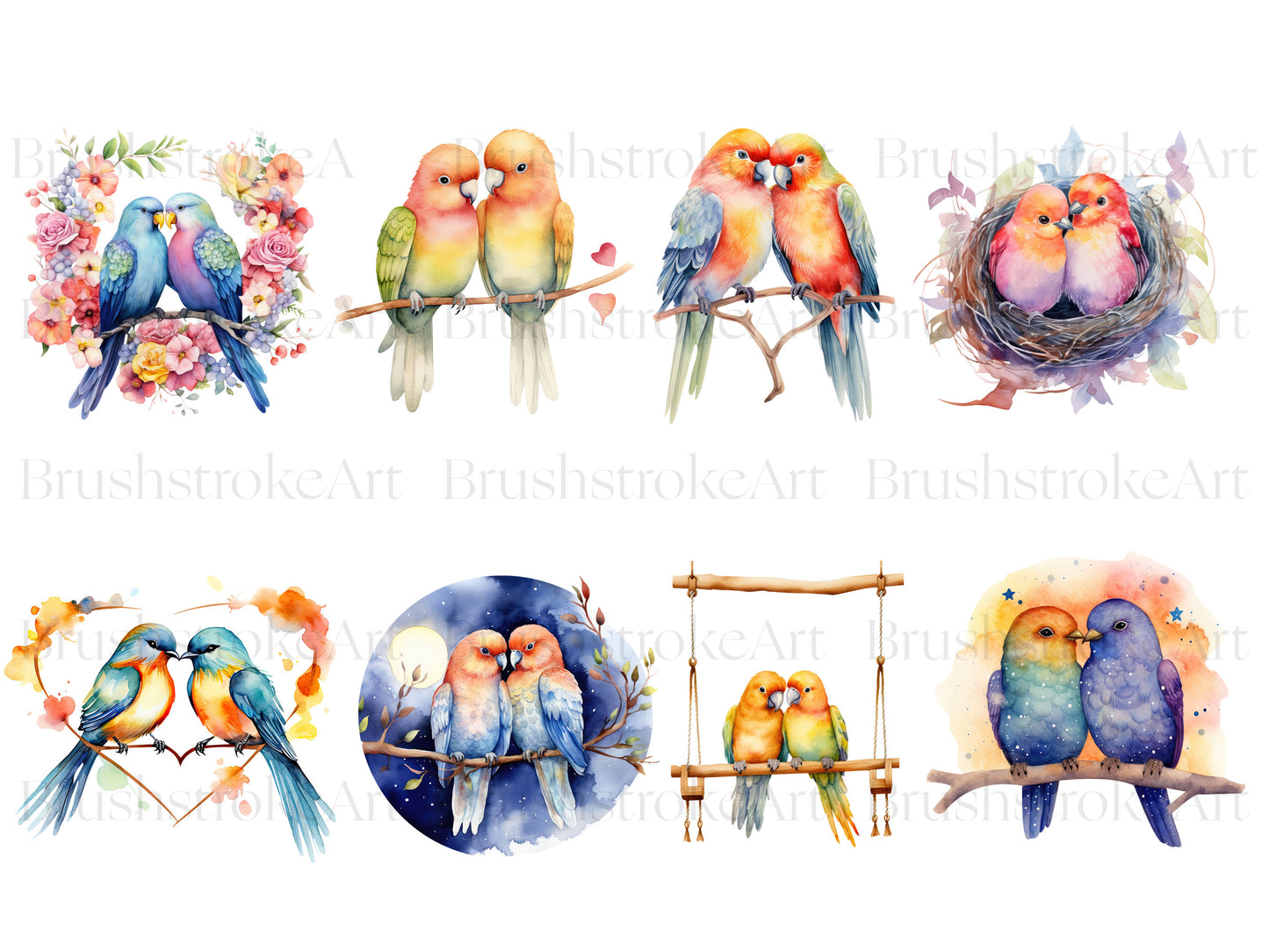 Birds Illstration