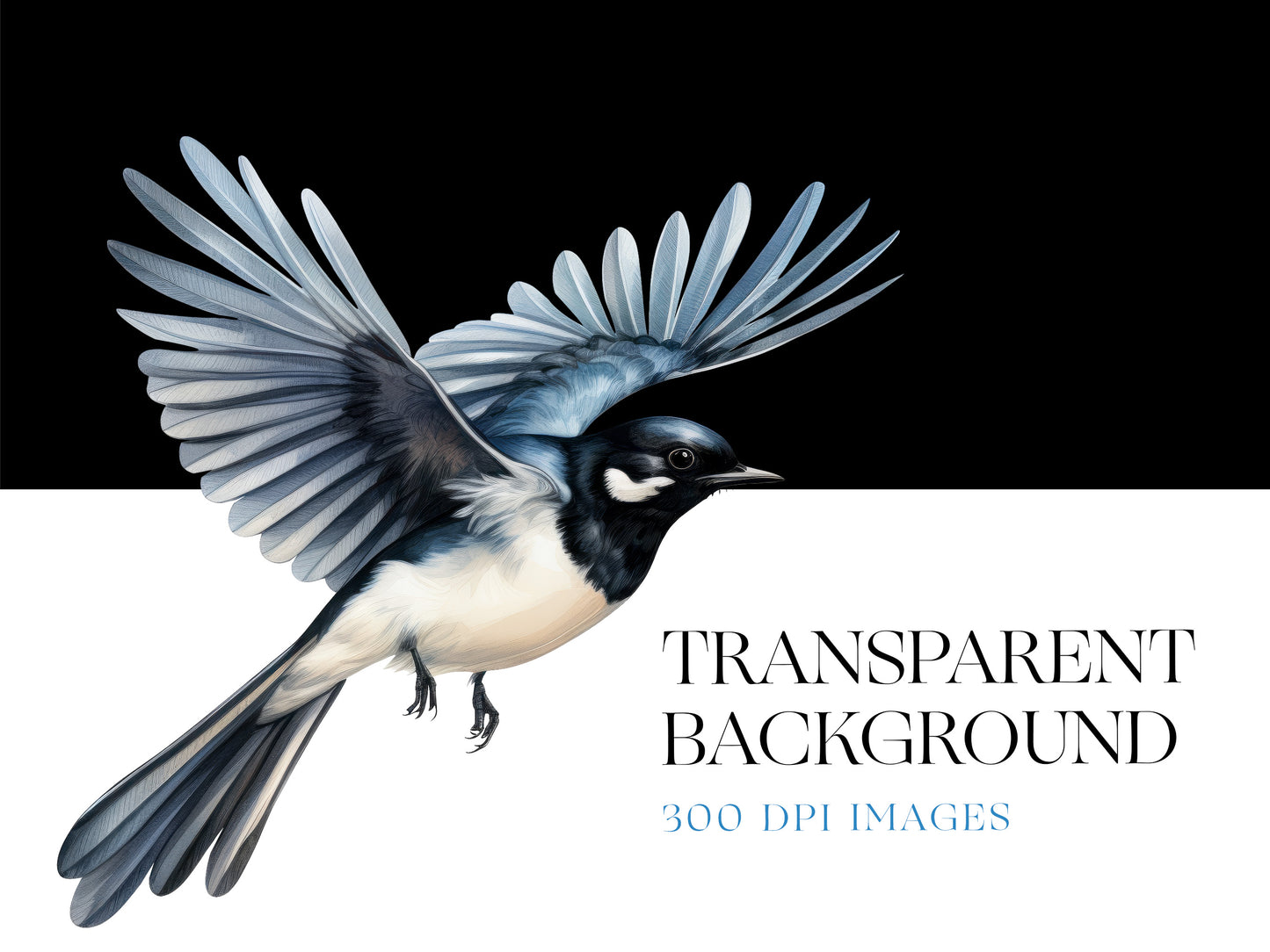 Birds PNG