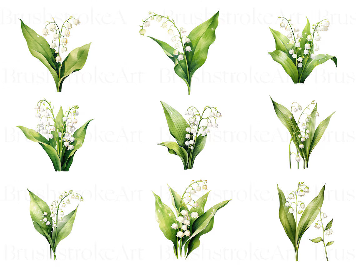 Birth Month Flower