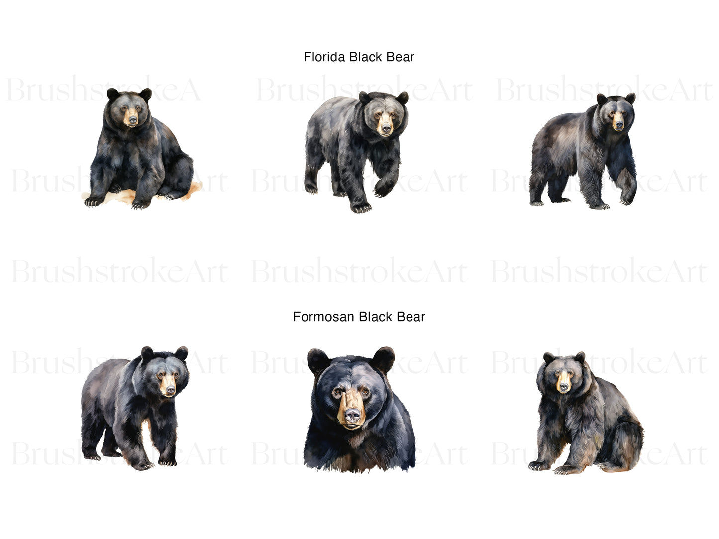 Black Bear Clipart