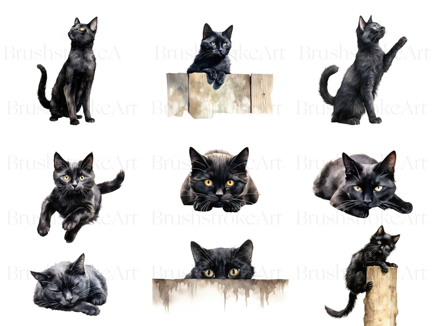 Black Cat