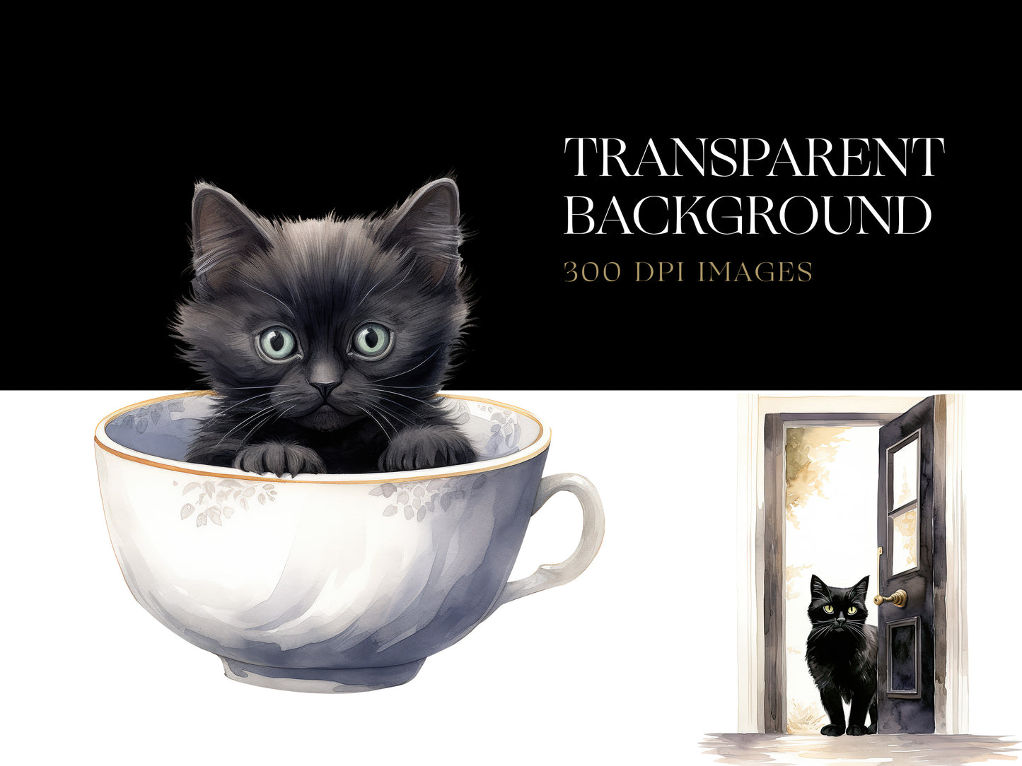 Black Cat PNG