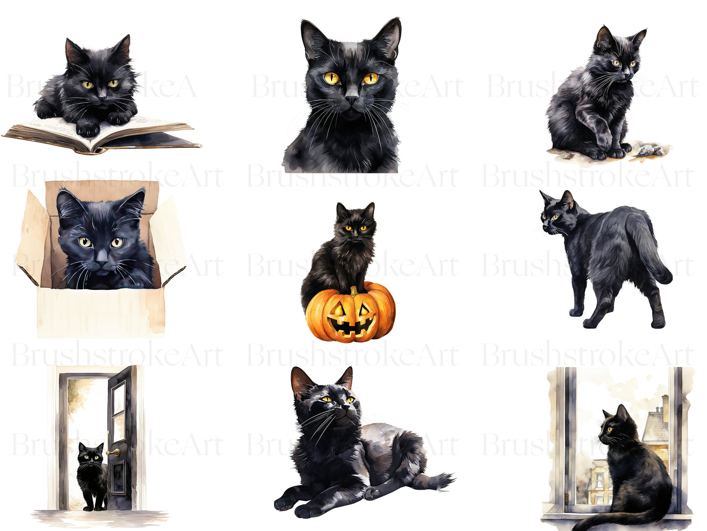 Black Kitten