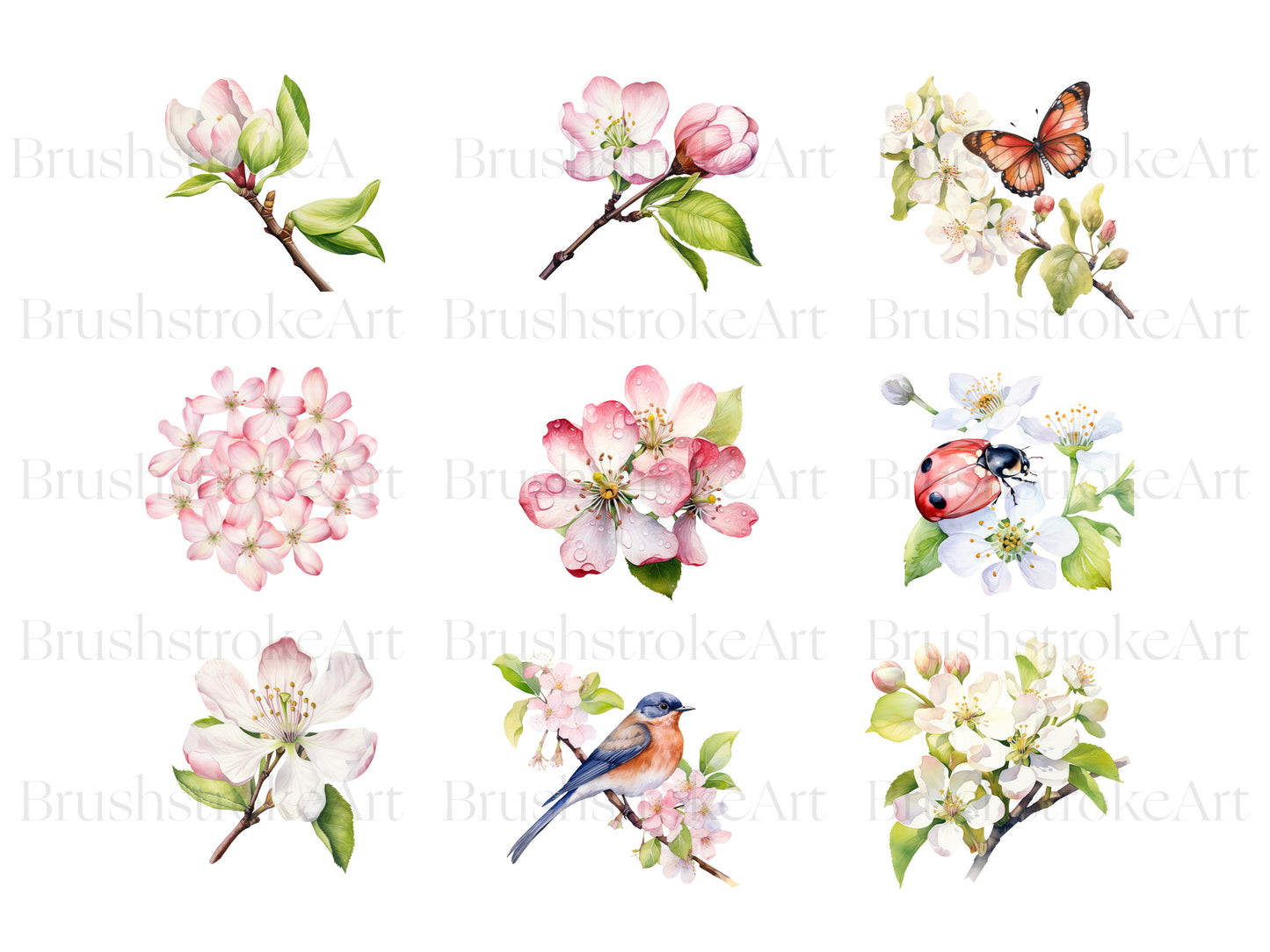 Blossoming Apple