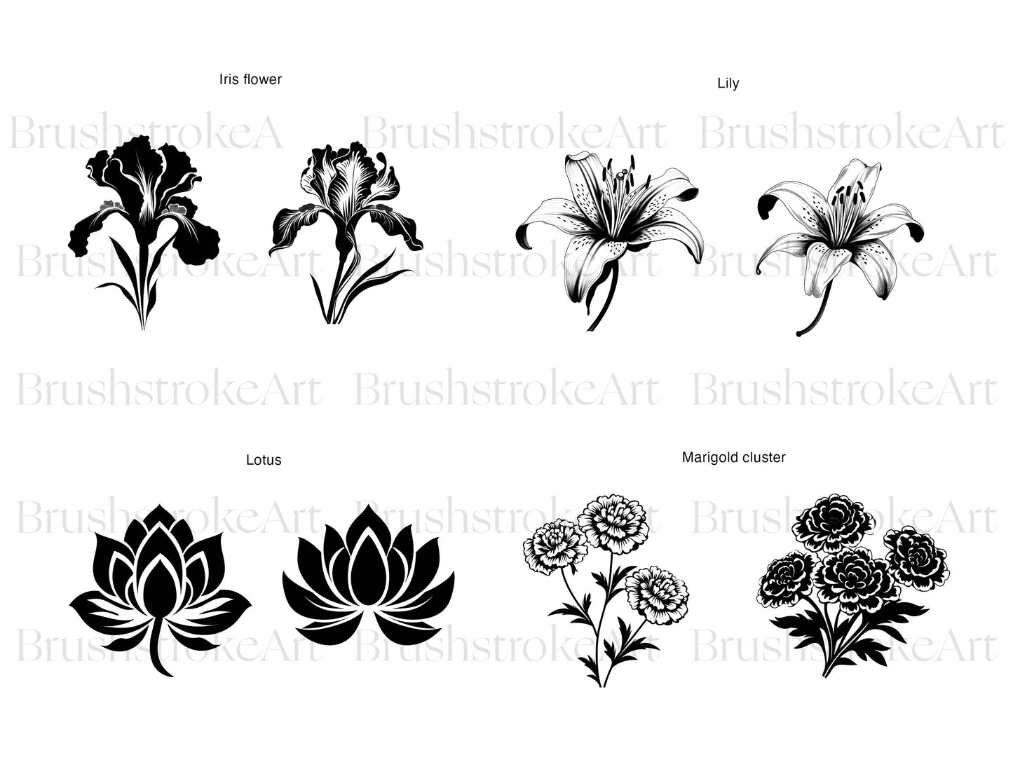 Botanical Line Art