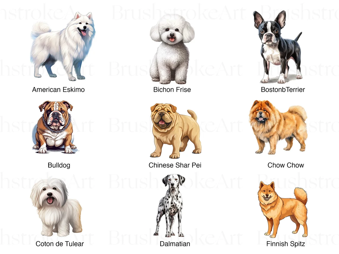 Breed Illustrations