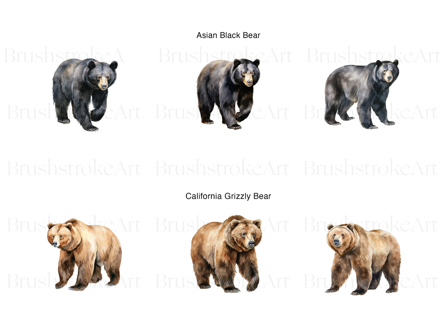 Brown Bear Clipart