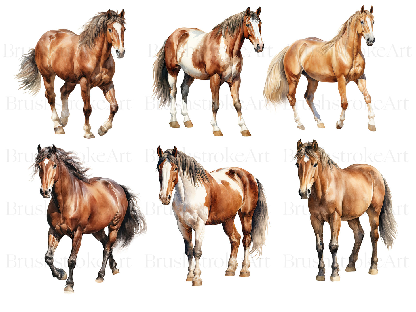 Brown horse