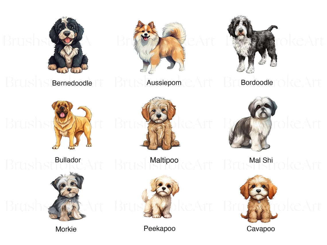 Bullador Dog Clipart