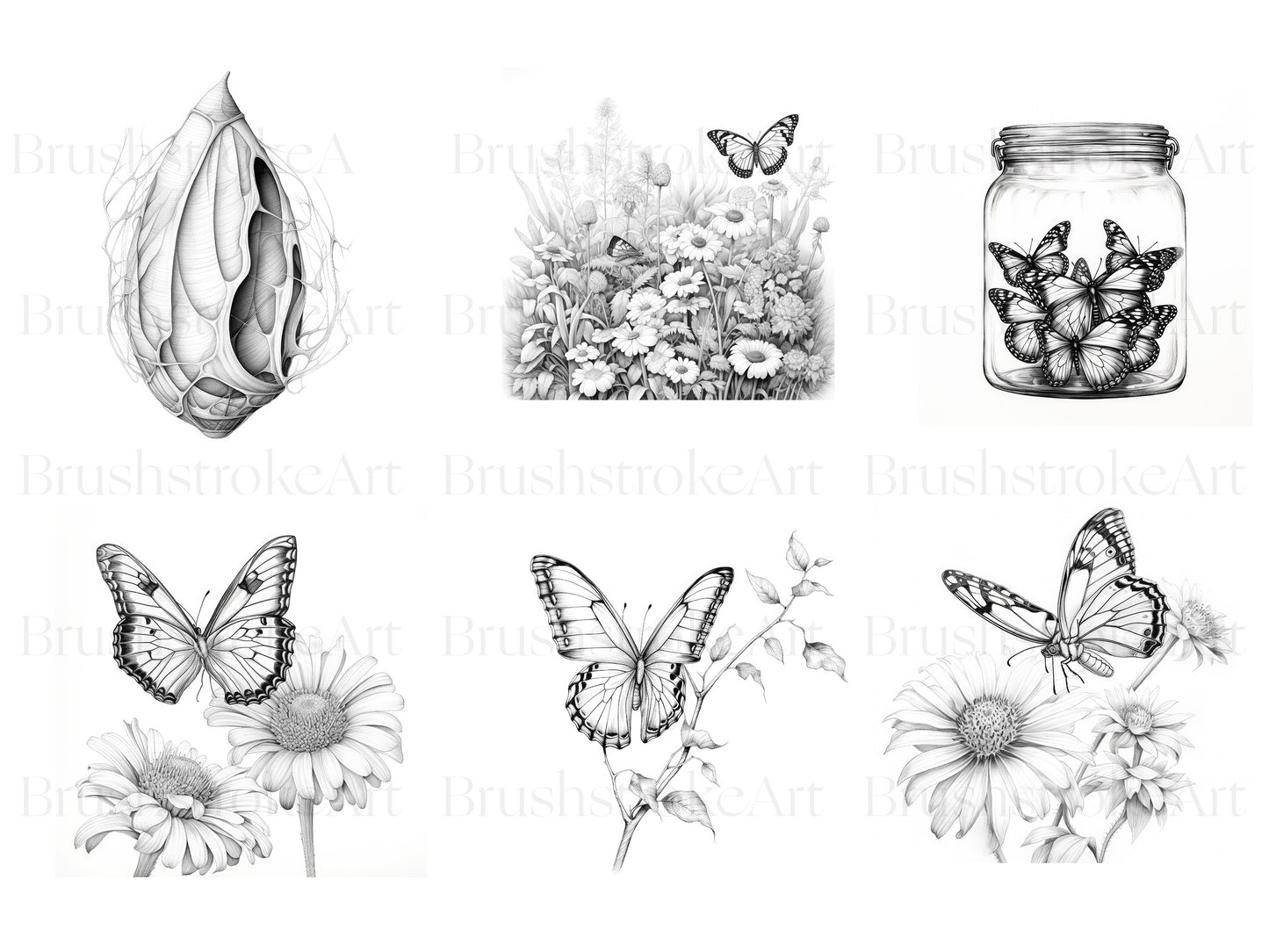 Butterflies Clipart