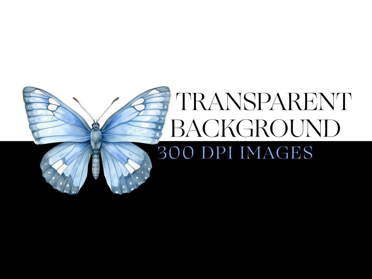 Butterfly PNG