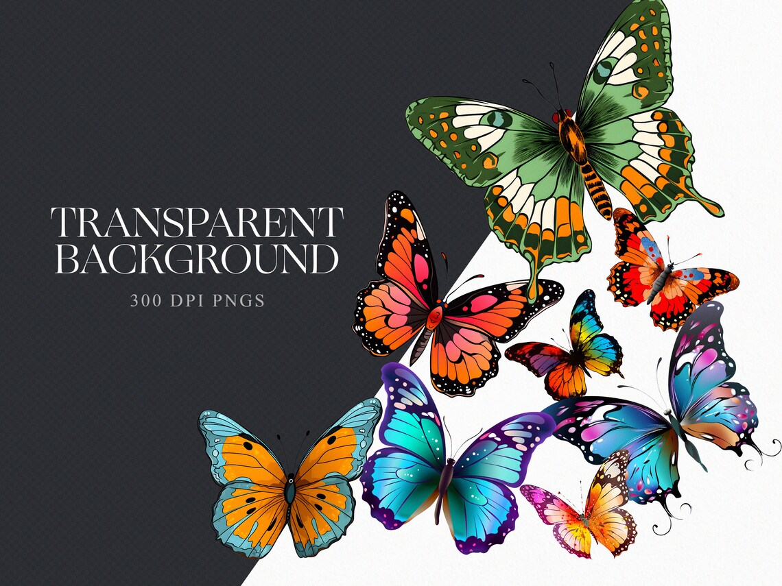 ButterflyPNG