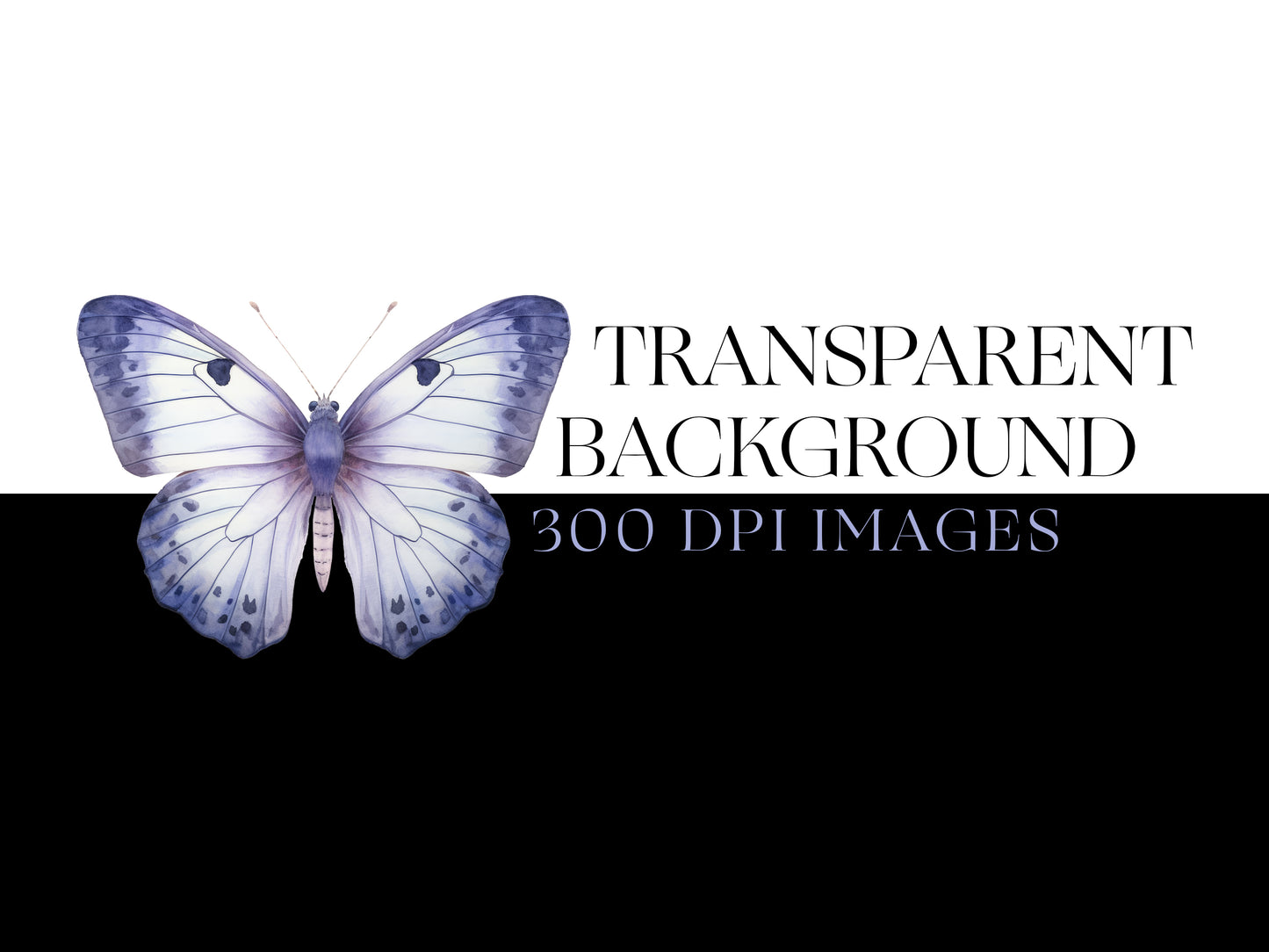 Butterfly PNG