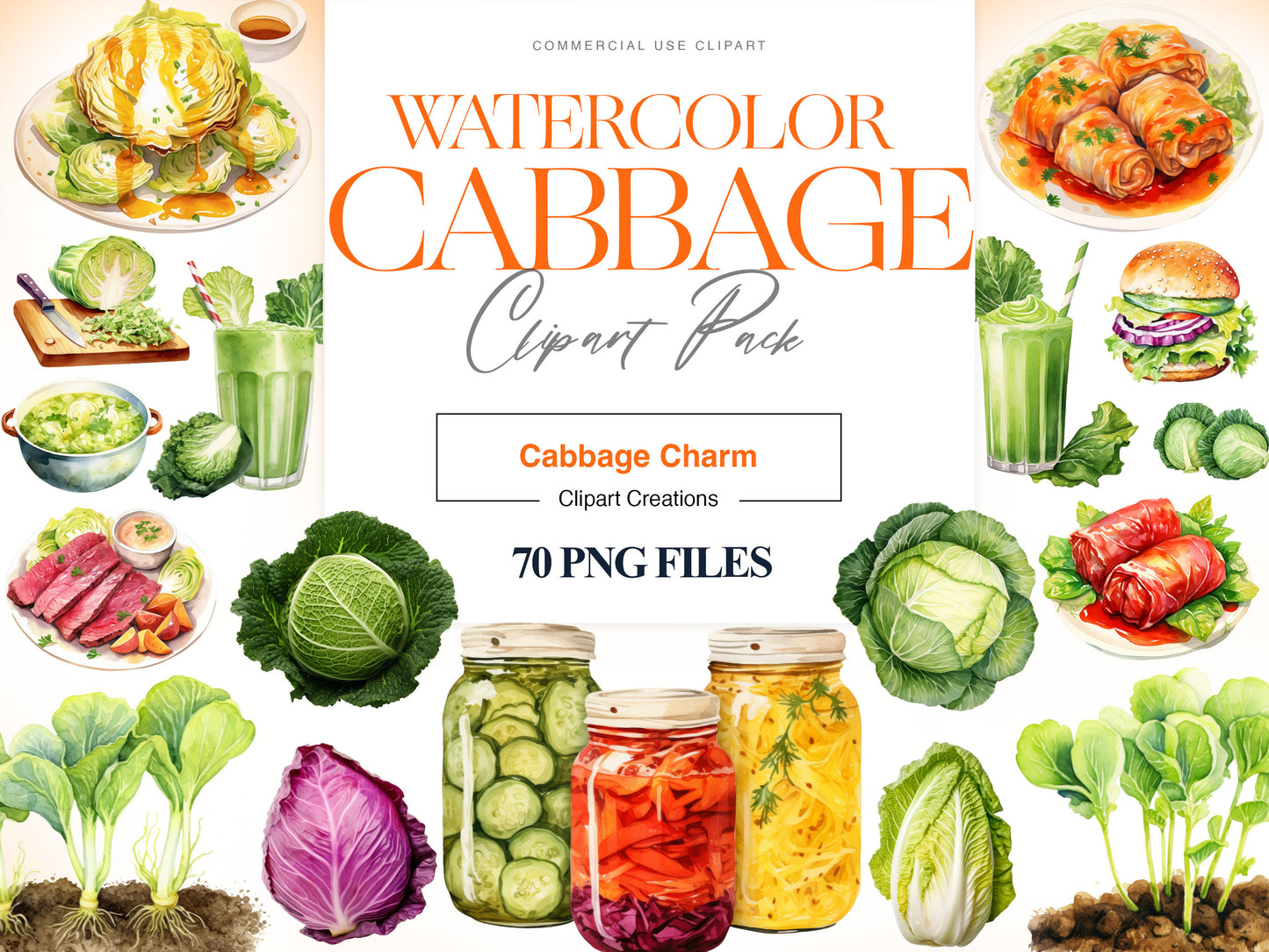 Cabbage Clipart