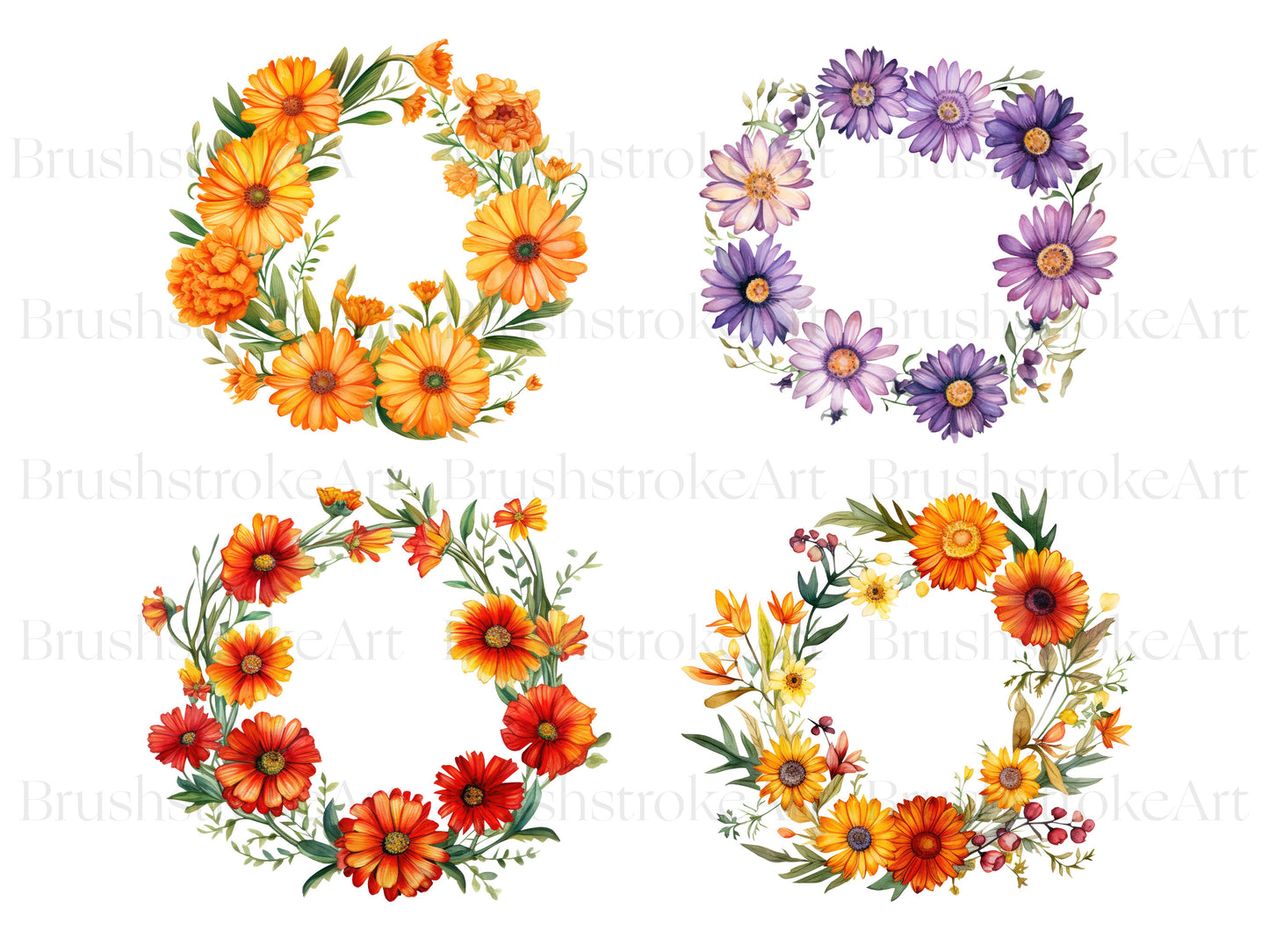 Calendula flowers