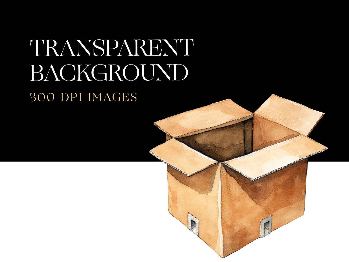Cardboard Box PNG