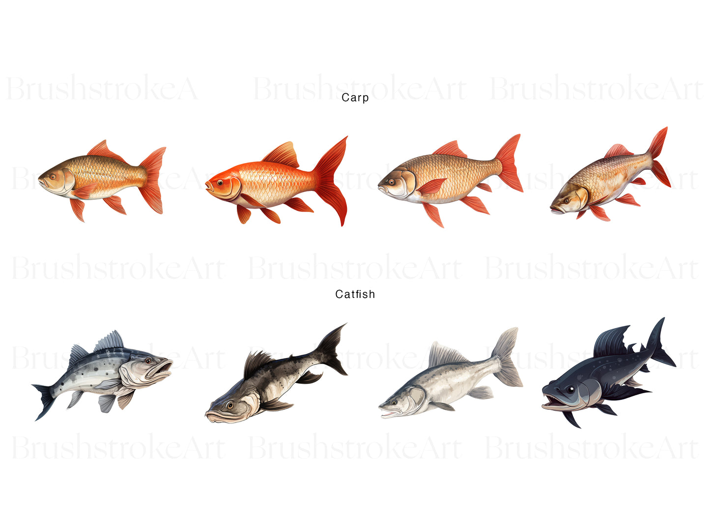 Carp Fish