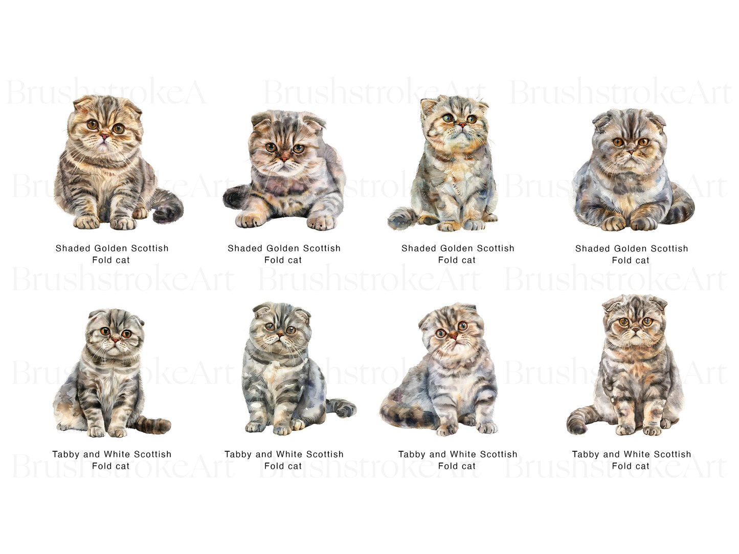 Cat Breeds
