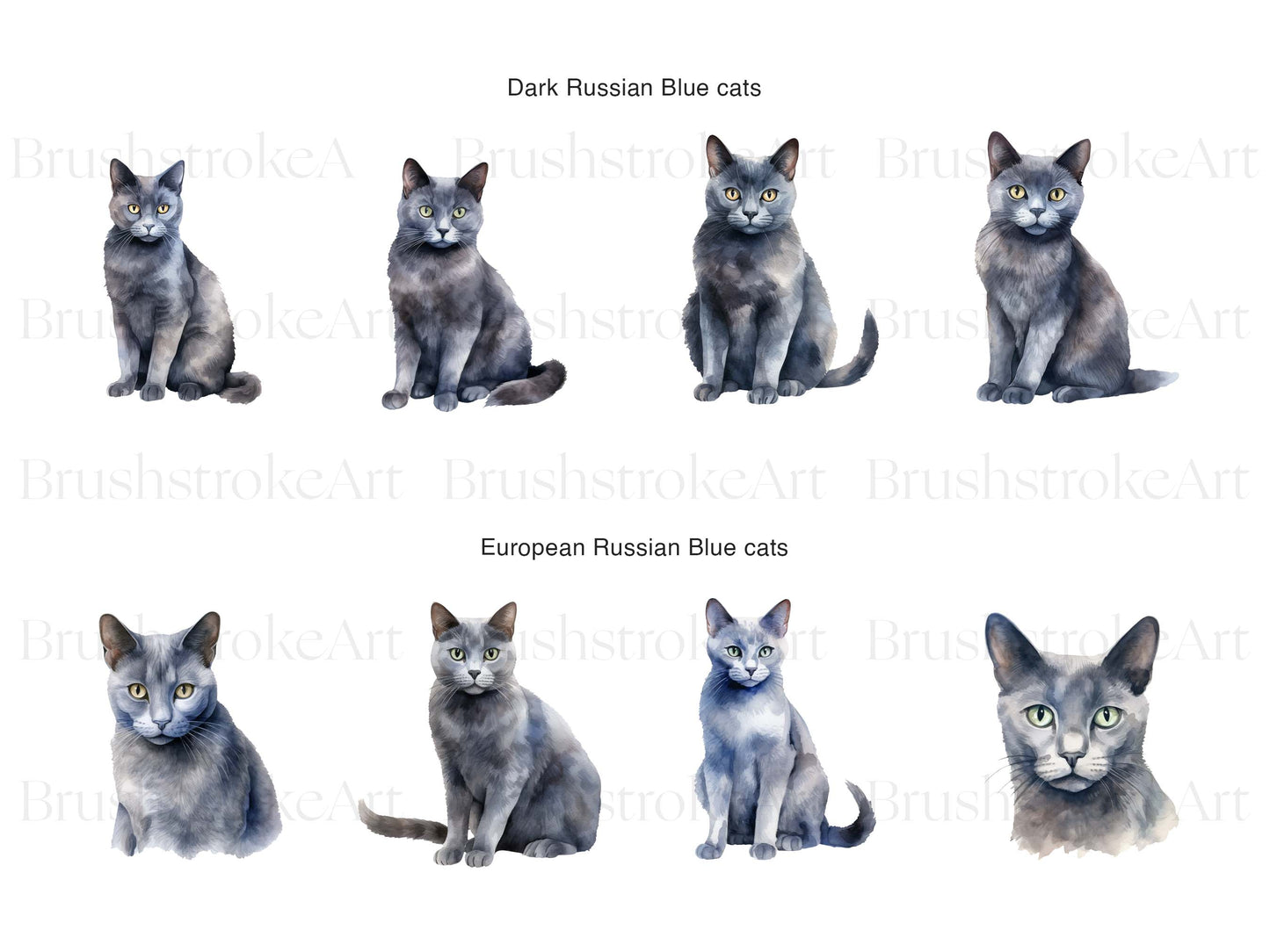 Russian Blue Cat Clipart, Watercolor Cat, Russian Cat Breed